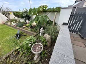 Photo 33- click for photo gallery